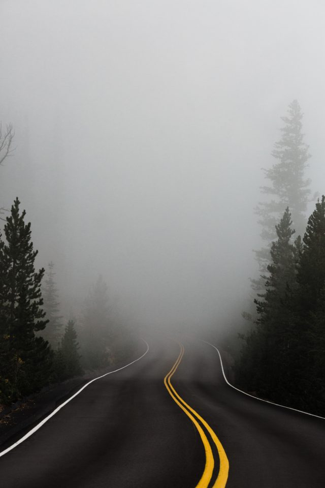 weg tussen bomen verdwijnt in de mist